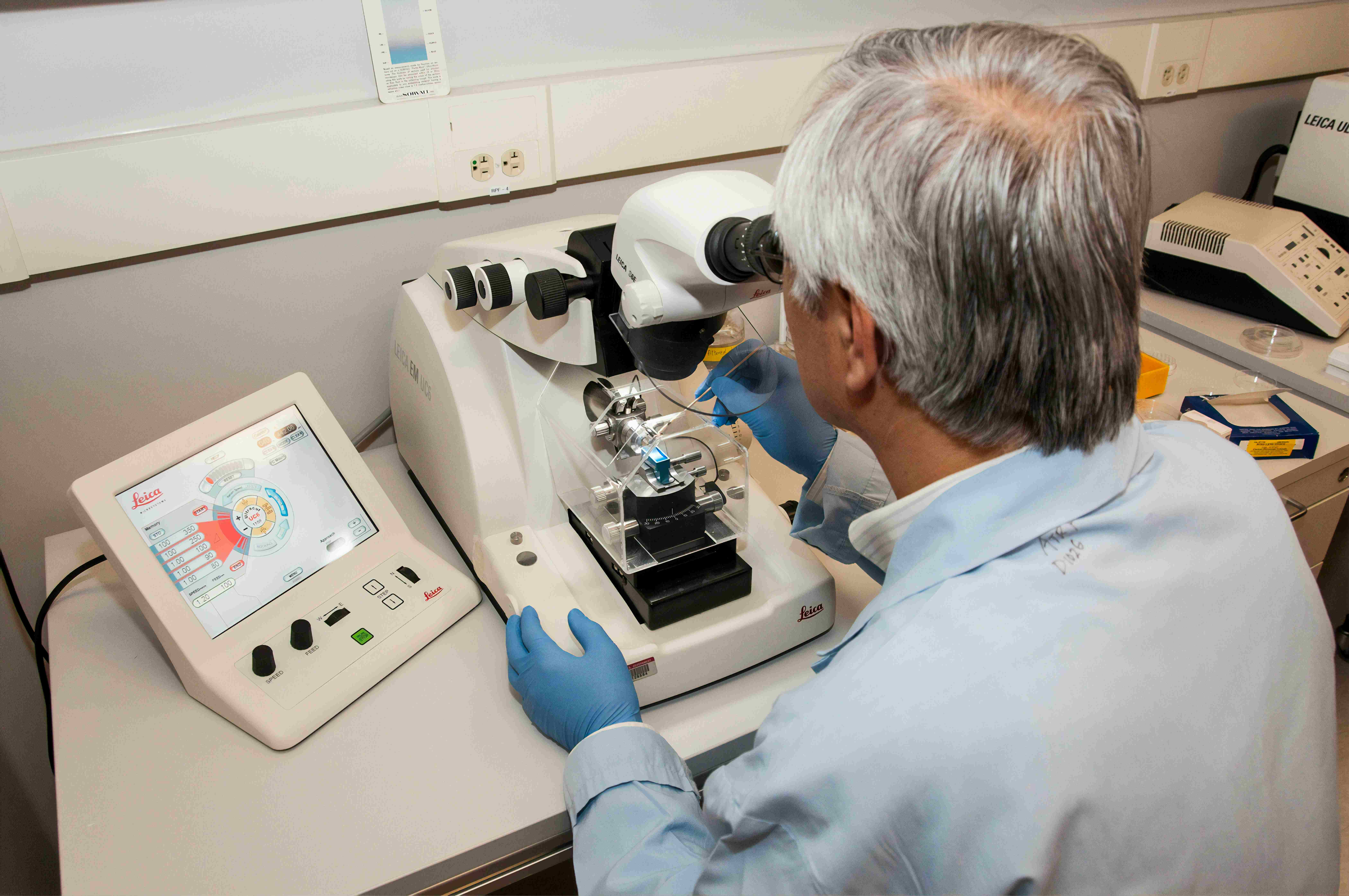 laborantin qui regarde au microscope